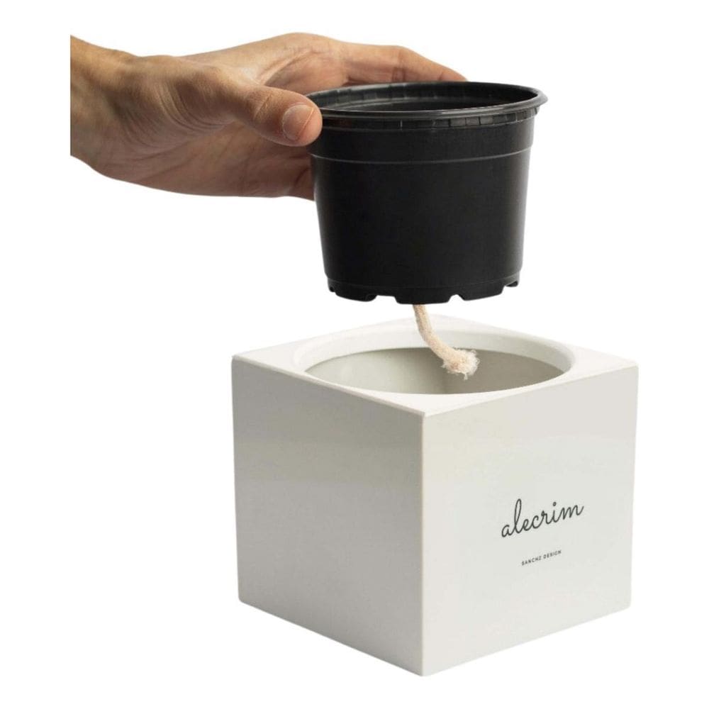 Vaso Auto Irrigável 11X10 Autoirrigável Cinza Hortelã