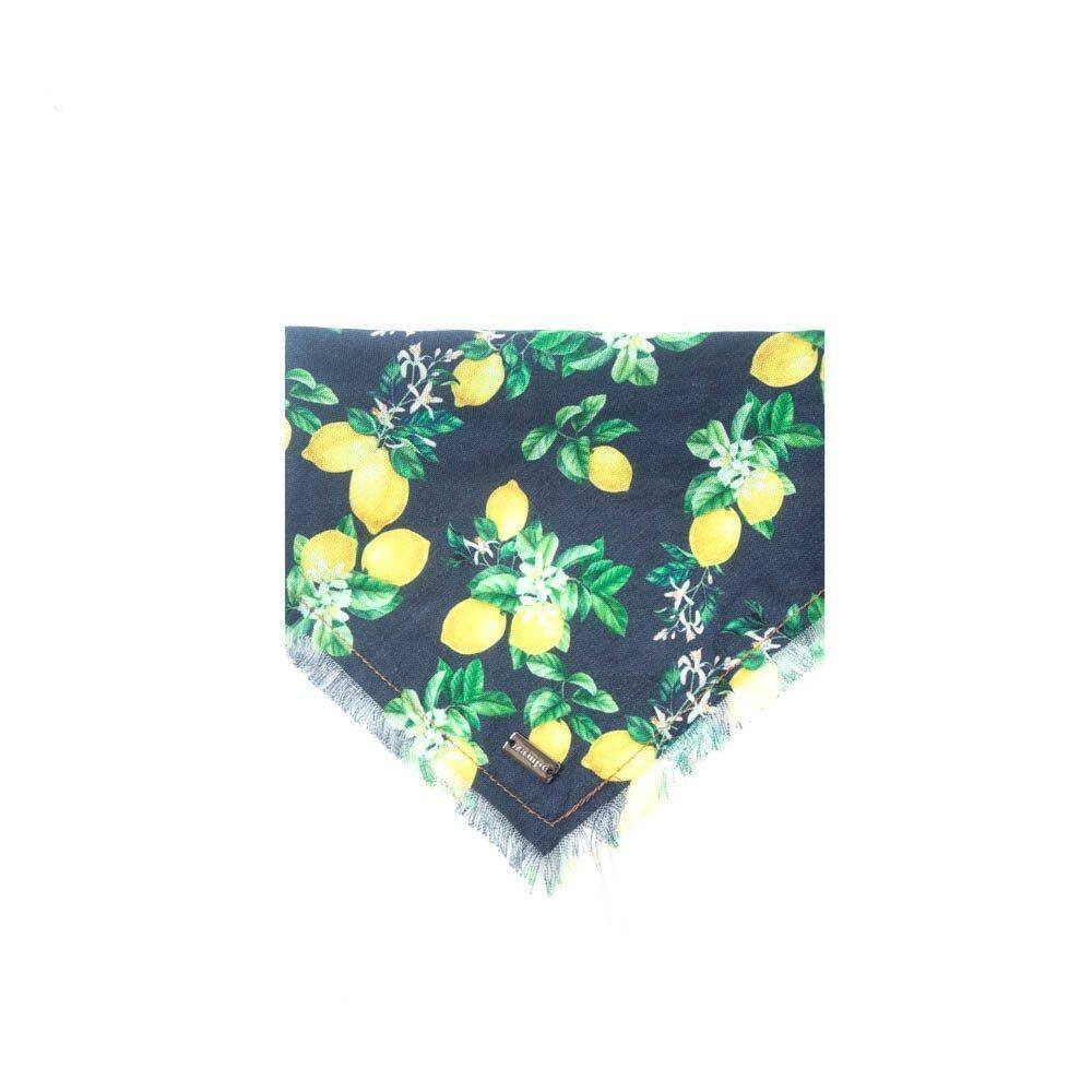 Bandana Limone - Azul - Pp