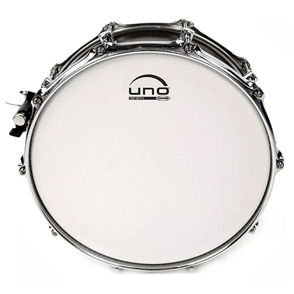 Pele Caixa Bateria Uno By Evans Genera Porosa