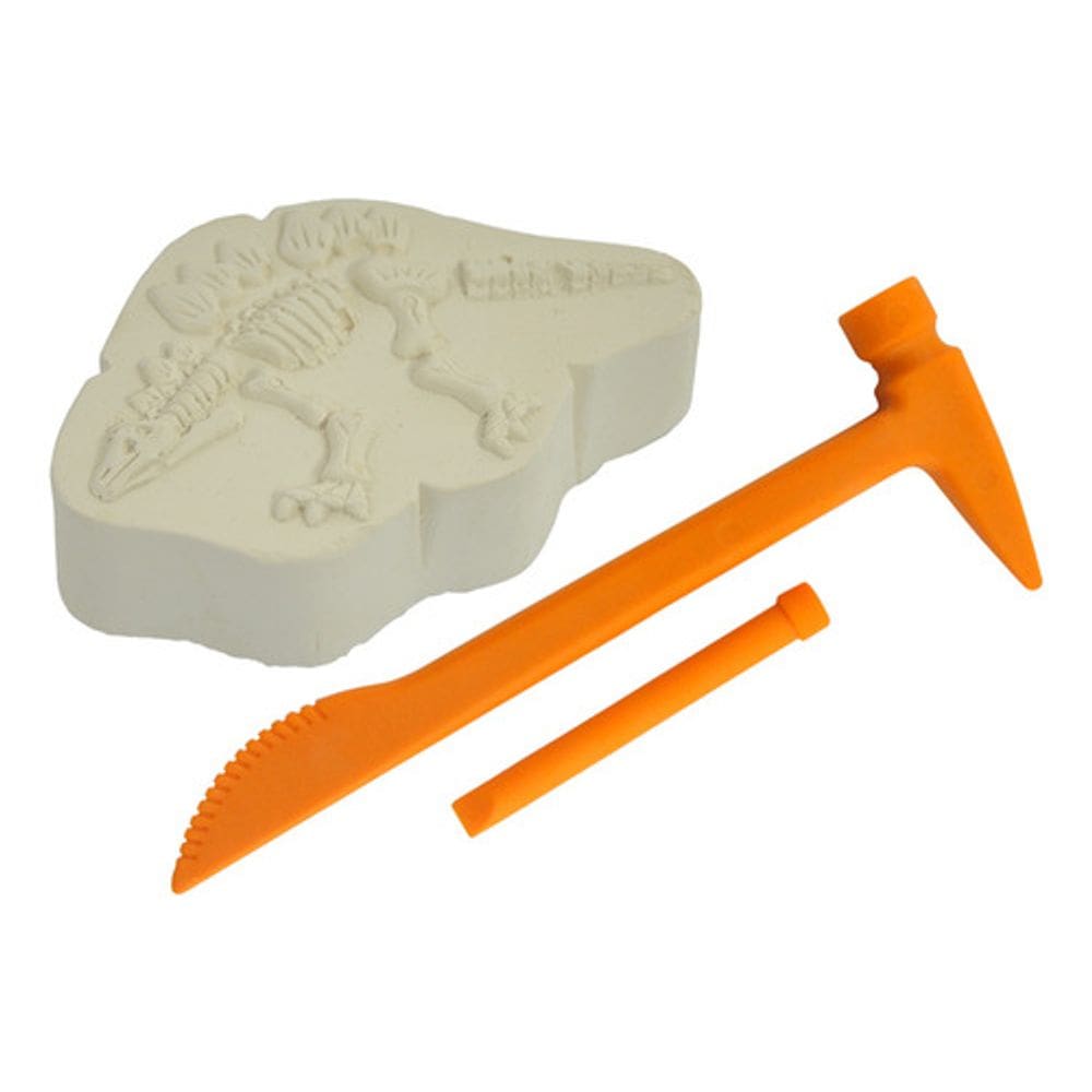 Dino Fóssil Escavação - DM Toys