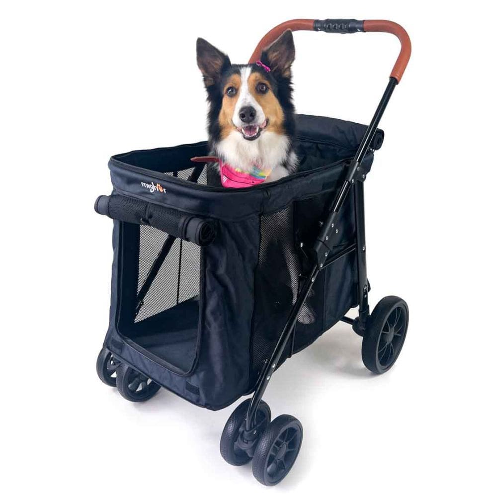 Carrinho de passeio para Pet, animal de estimação, cachorro, cão, gato de grande porte até 30 Kg