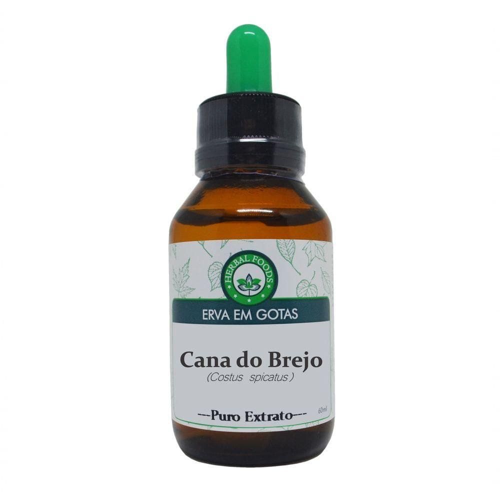 Cana Do Brejo - Extrato 60ml (tintura Mãe)