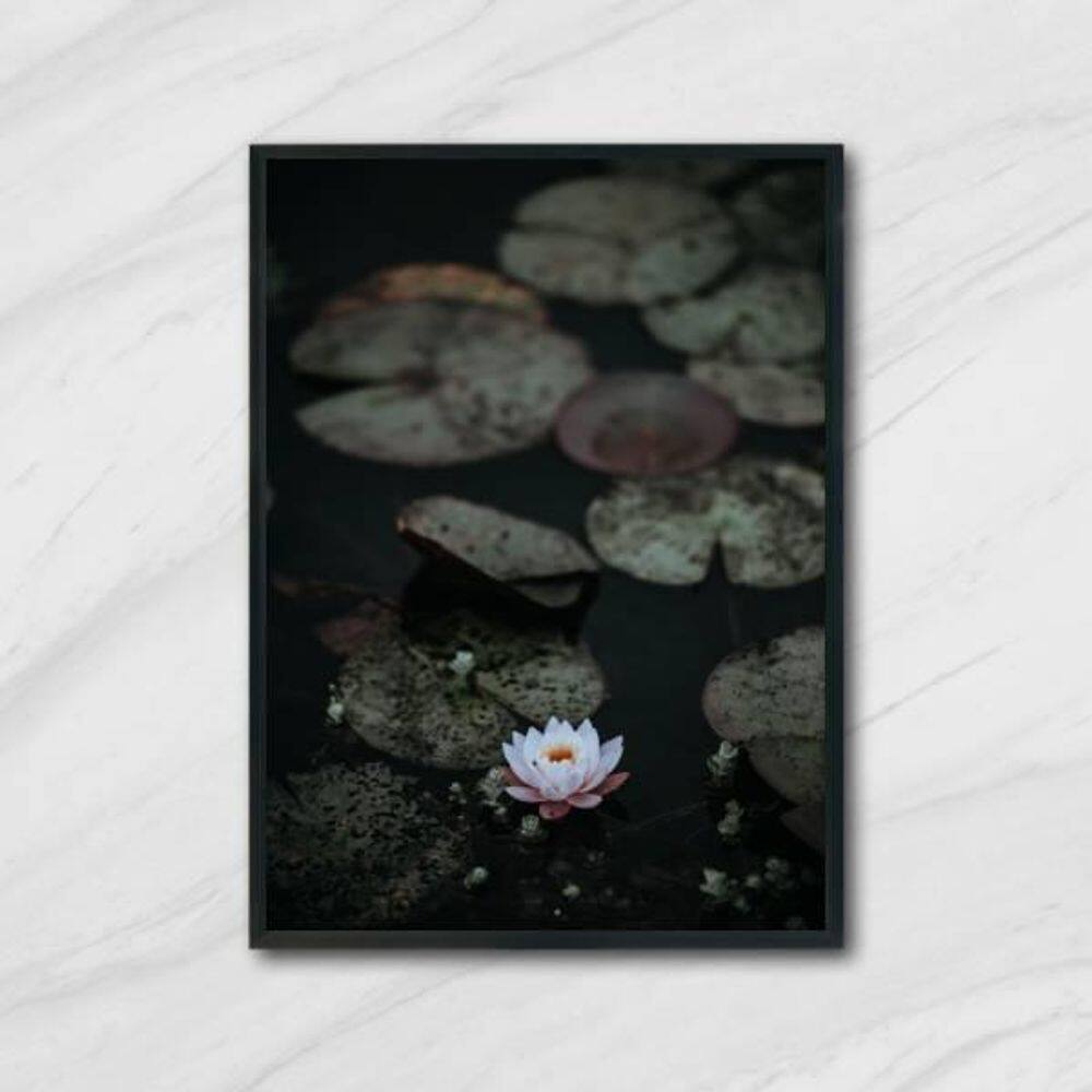 Quadro Flor De Lotus 24X18Cm 001