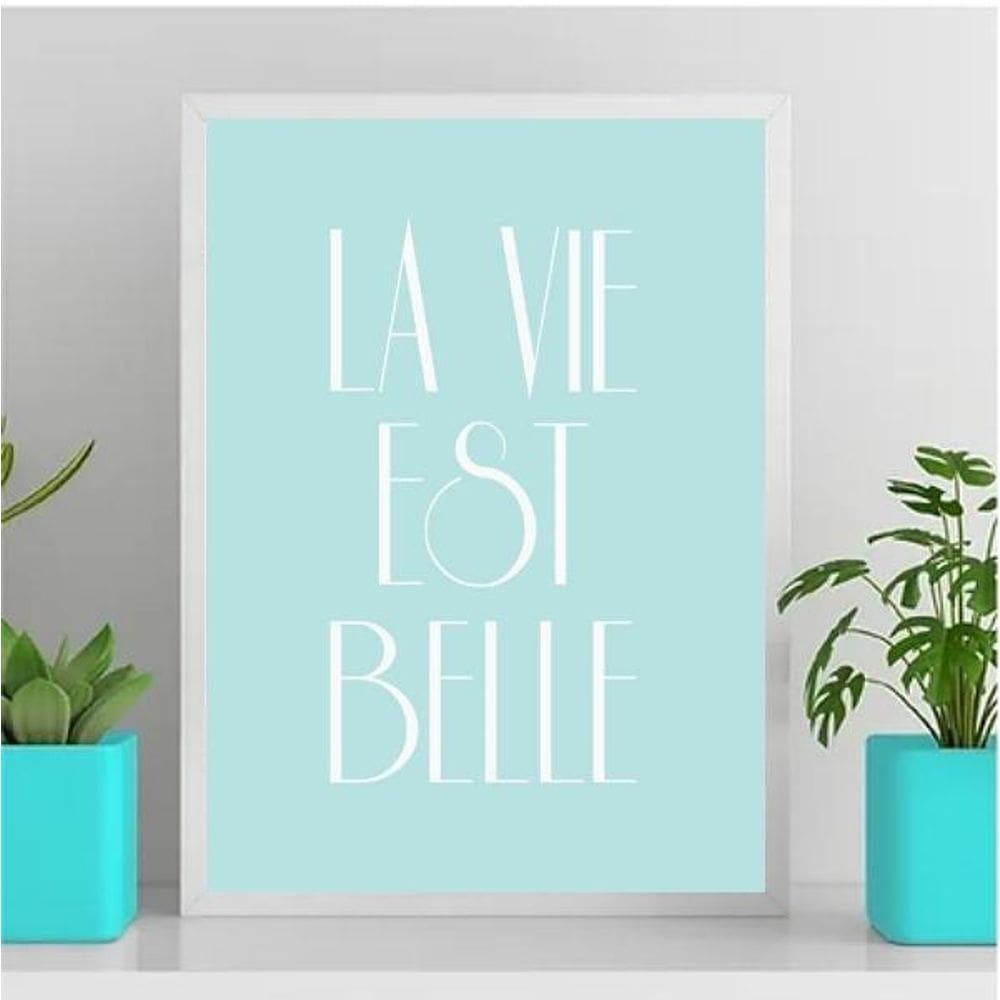 Quadro La Vie Est Belle 24X18Cm Vidro Branca