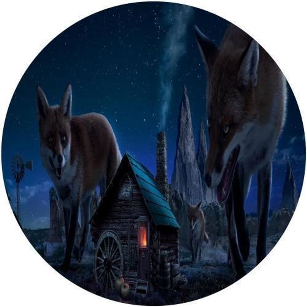 Capa De Estepe Ecosport Aircross Raposas