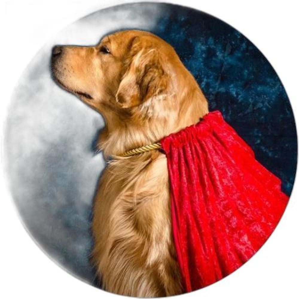 Capa De Estepe Ecosport Aircross Dog Capa Vermelha