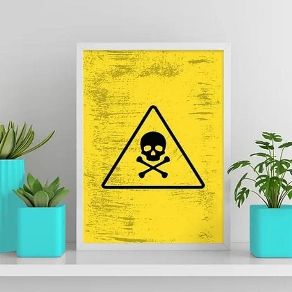 Quadro Placa Perigo Caveirinha 33X24Cm - Com Vidro Branca