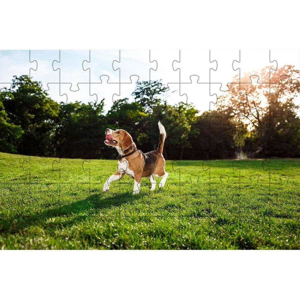 Kit 2 Quebra-Cabeça Inclusivos Beleza Cachorros Em 60 Peças