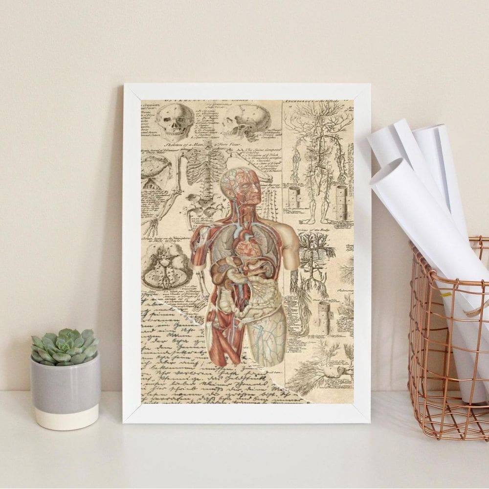 Quadro Decorativo Órgãos Corpo Humano Vintage 33X24Cm