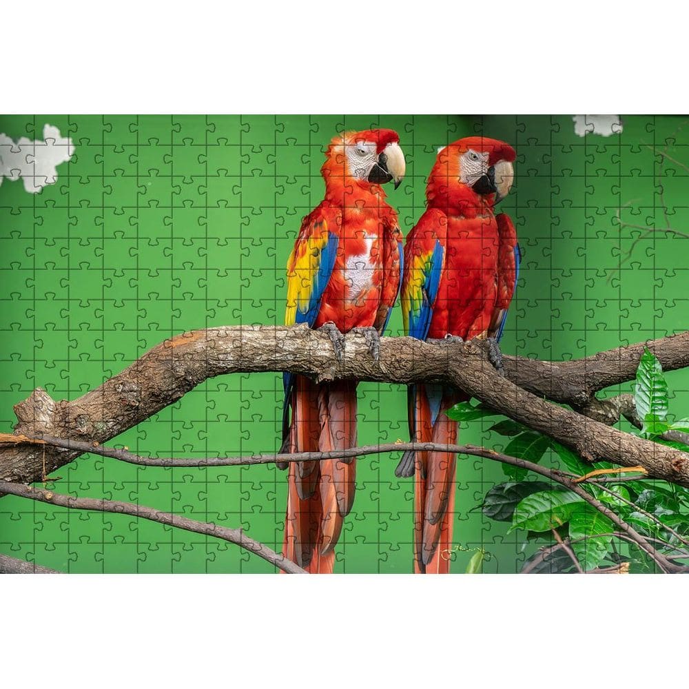 Kit 2 Quebra-Cabeça Inclusivos Beleza Pássaros Em 60 Peças