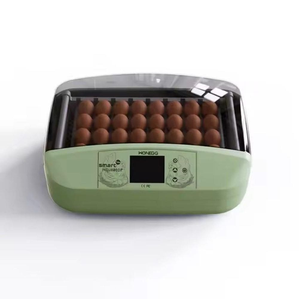 MP - Chocadeira De Roletes 32 Ovos Temperat U