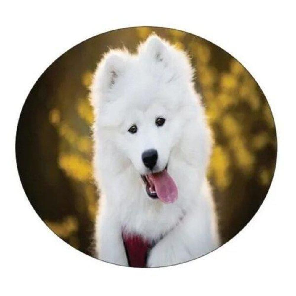 Capa De Estepe Ecosport Aircross Crossfox Doguinho Branco