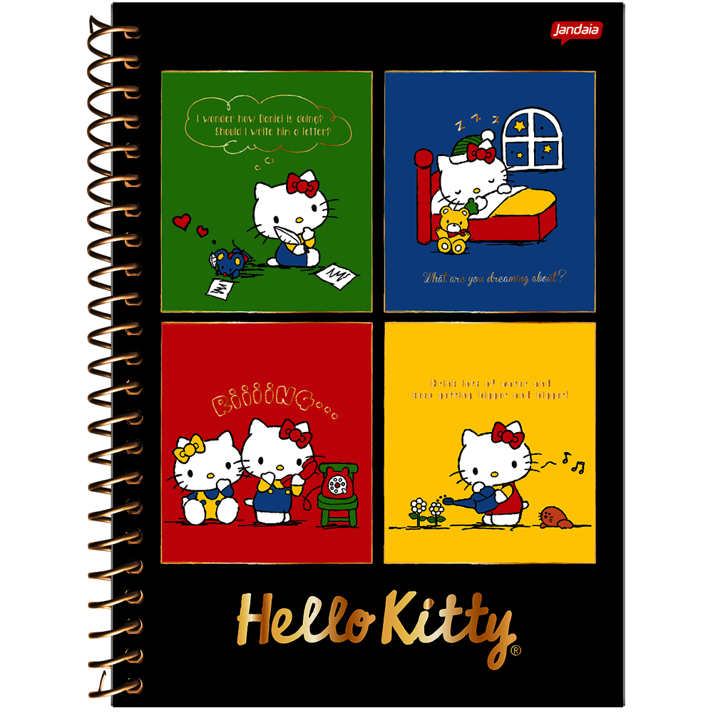 Caderno Colegial Hello Kit 10 Matérias 160 Fls Jandaia 9843