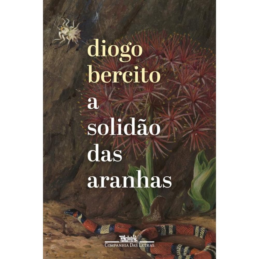 A solidão das aranhas