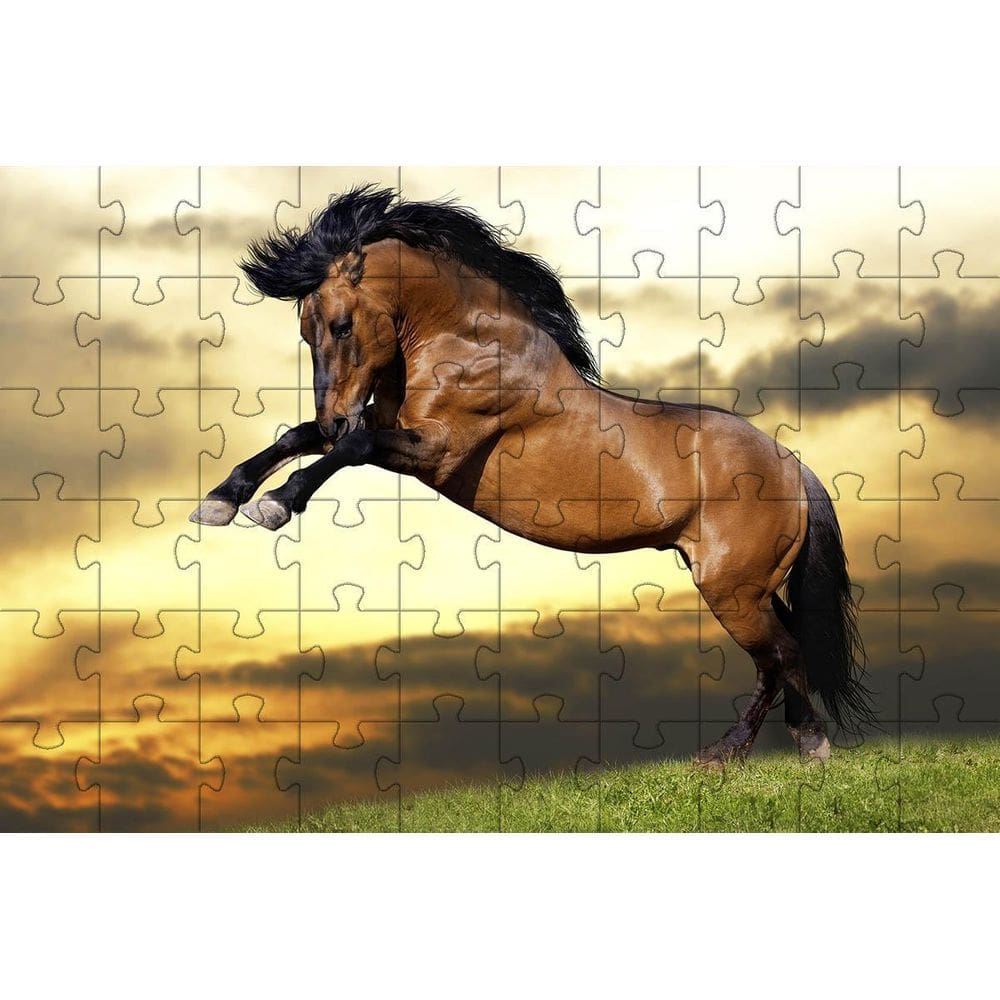 Kit 2 Quebra-Cabeça Inclusivos Beleza De Cavalos Em 60 Peças