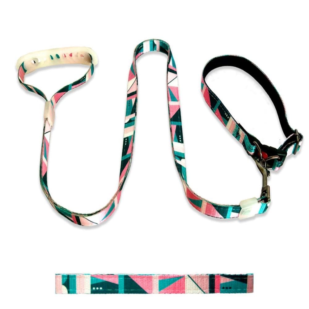 Coleira Guia Pet Cães Cachorro Reforçada Passeio Azul