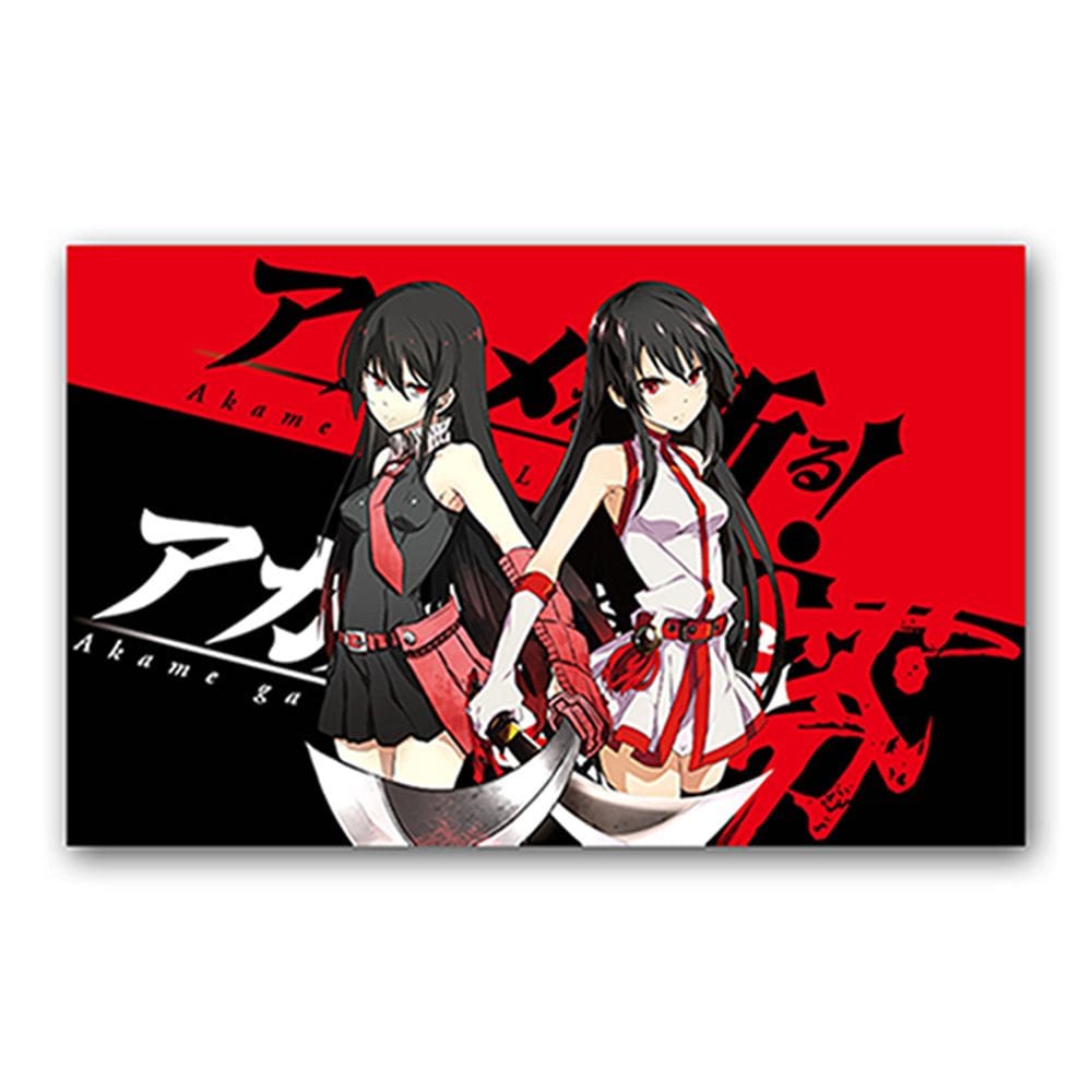 Pôster com pintura de parede e arte de parede Akame ga Kill Anime 40x60cm
