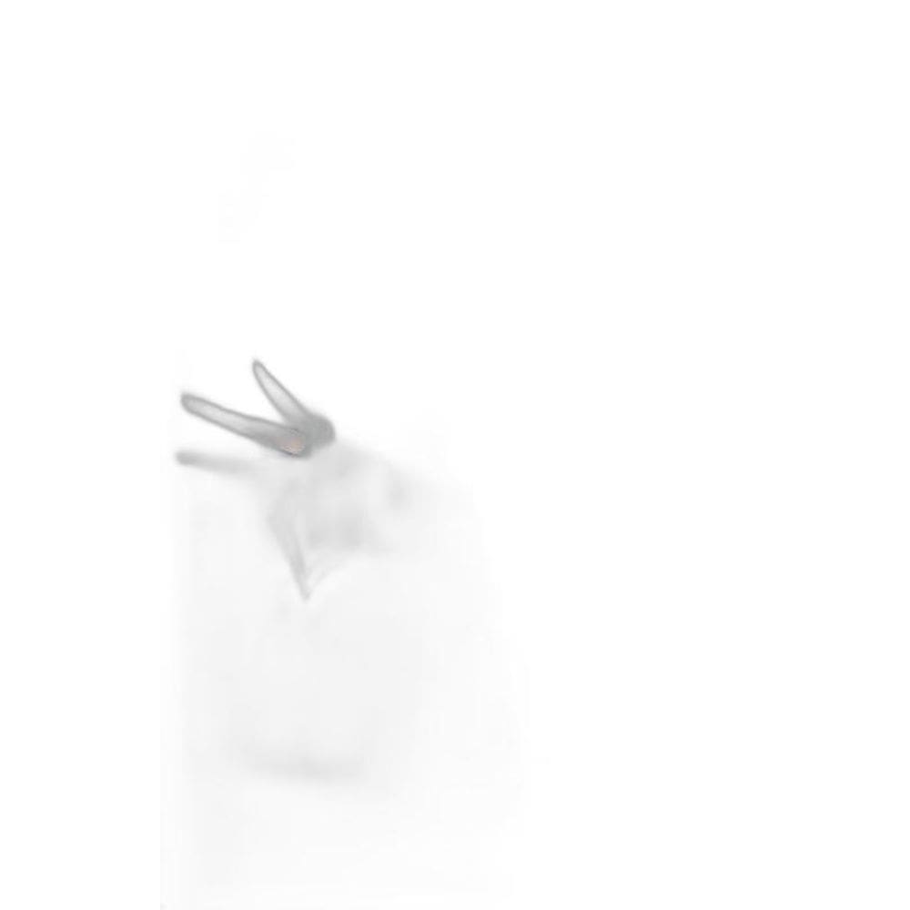 Livro Plano Infalivel, O