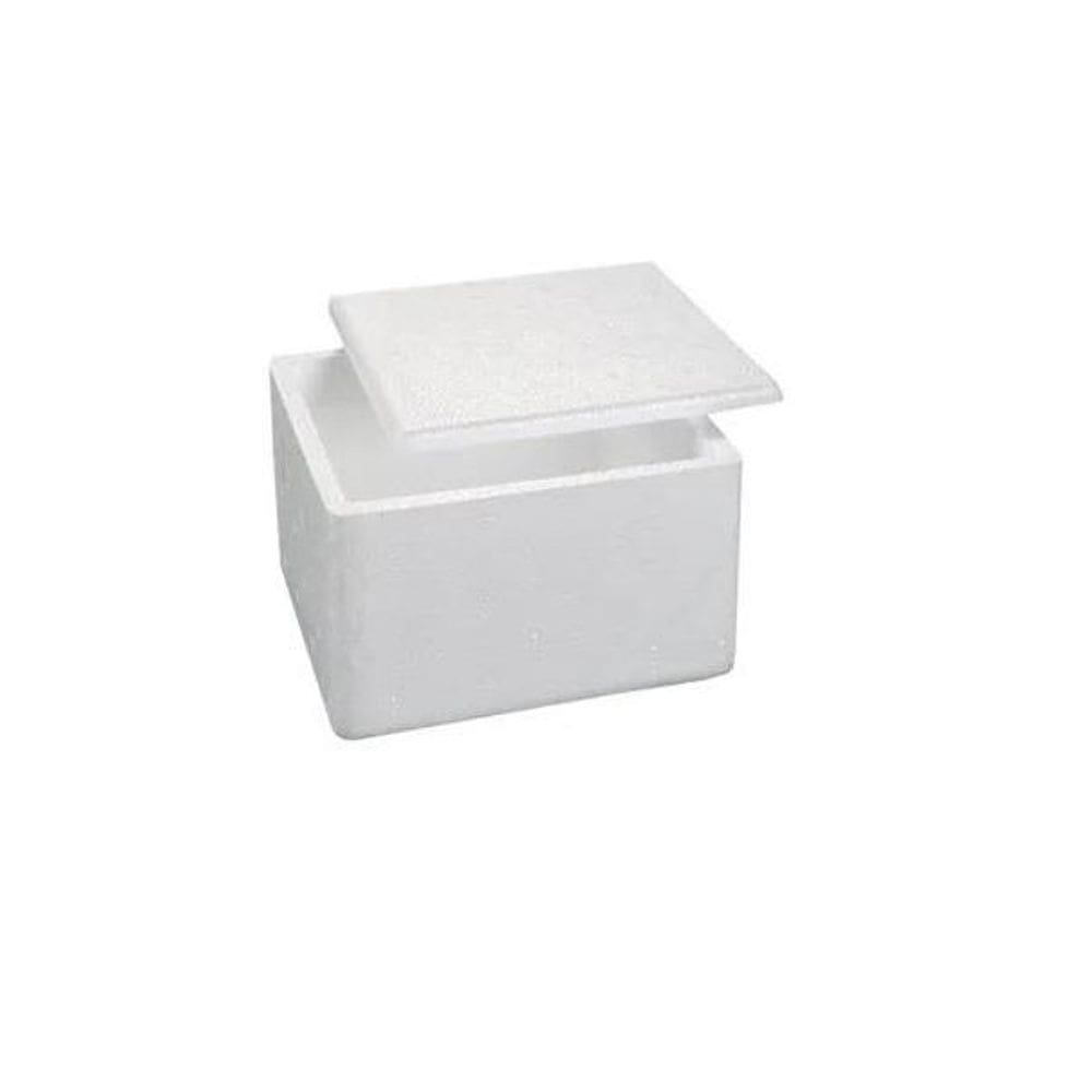 Caixa Isopor Térmica 2 Litros / Sorvete - 50Un