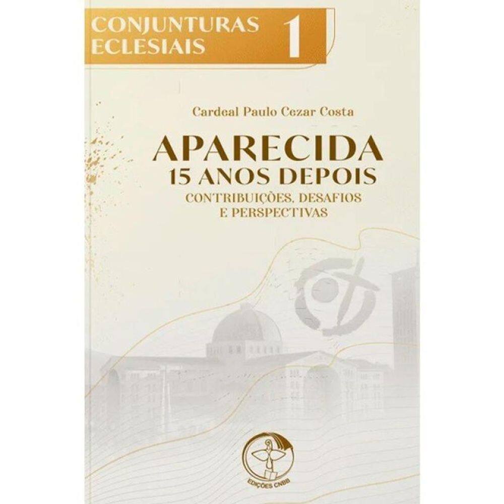 Aparecida 15 Anos Depois: Contribuições, Desafios E Perspectivas
