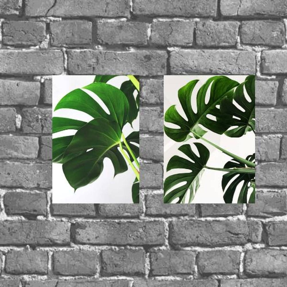 Kit 2 Placas Decorativas Costela Adão 18x27cm