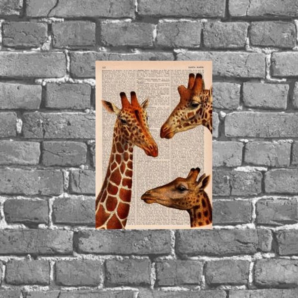 Placa Decorativa De Parede Girafas 18x27cm