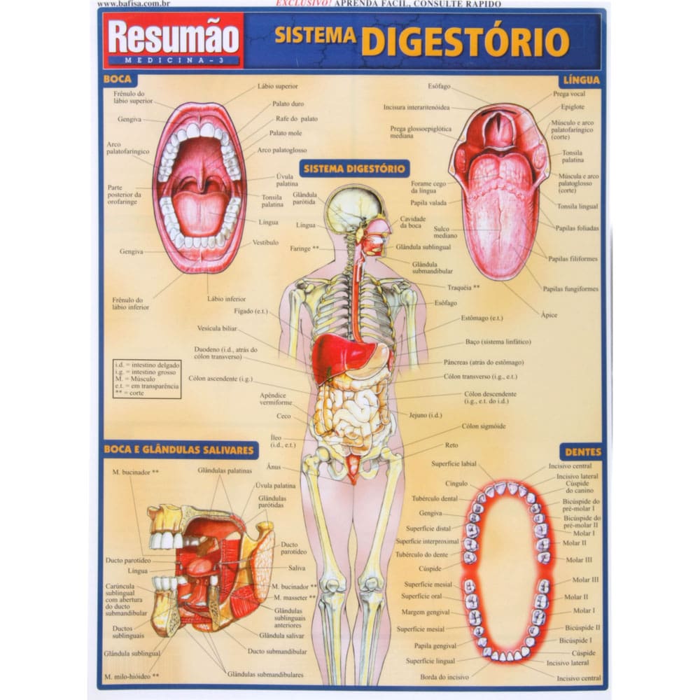 Livro - Resumão: Sistema Digestório - Vincent Perez