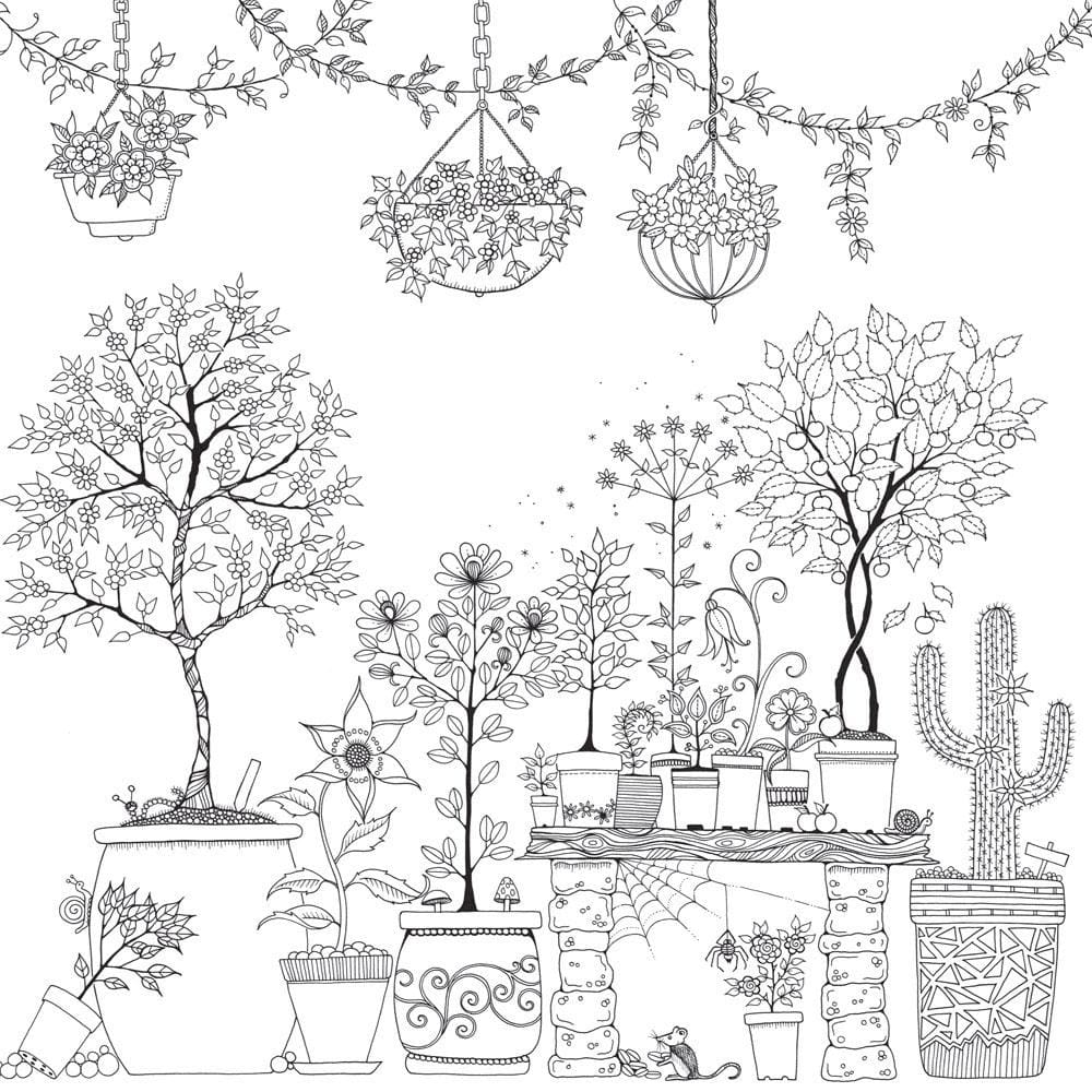 desenho para colorir jardim secreto