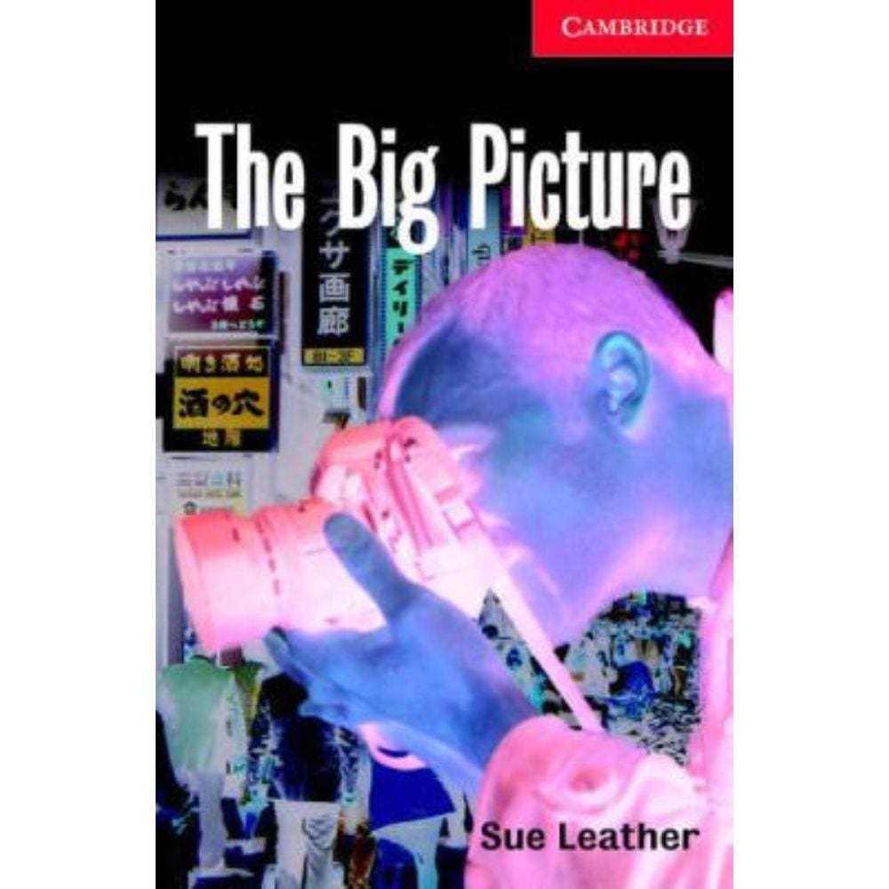 Big Picture, The